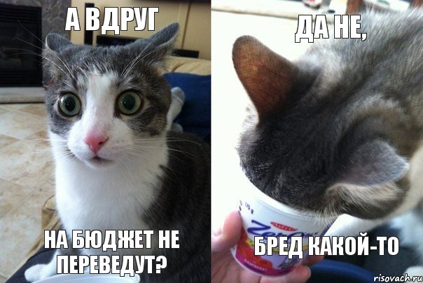 А ВДРУГ на бюджет не переведут? да не, бред какой-то, Комикс  Да не бред какой-то (4 зоны)