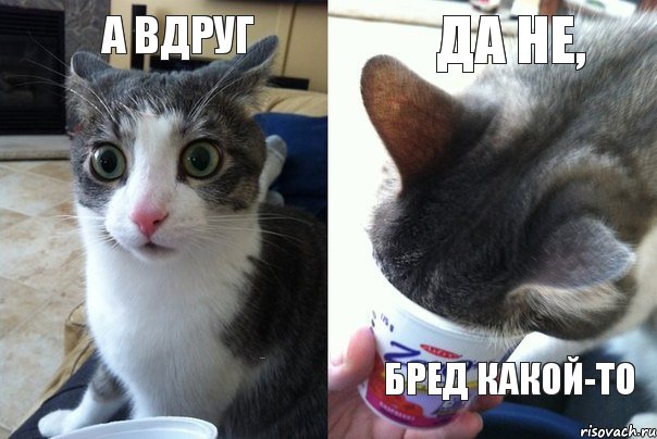 А вдруг на бюджет не переведут? да не, бред какой-то, Комикс  Да не бред какой-то (4 зоны)