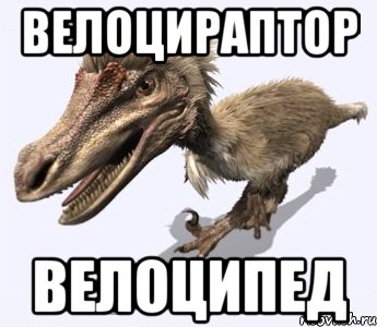 велоцираптор велоципед, Мем Вело