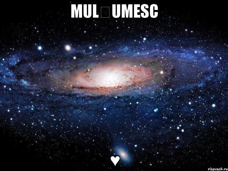 Mulțumesc ♥, Мем Вселенная