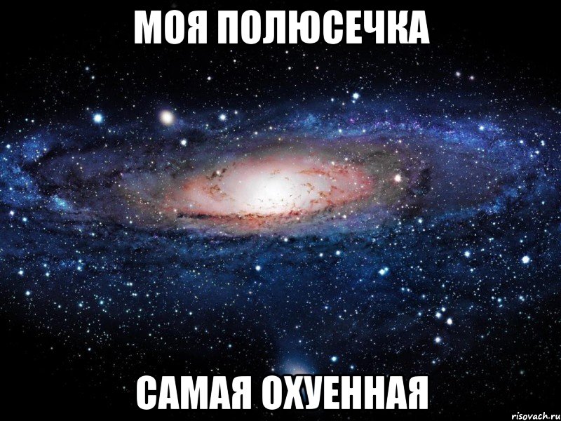 Моя Полюсечка Самая охуенная, Мем Вселенная