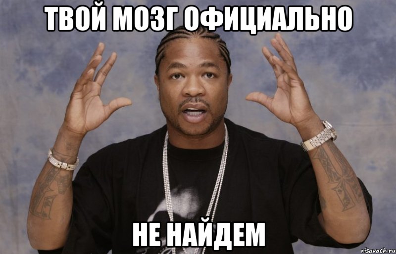 Твой мозг официально не найдем, Мем Xzibit