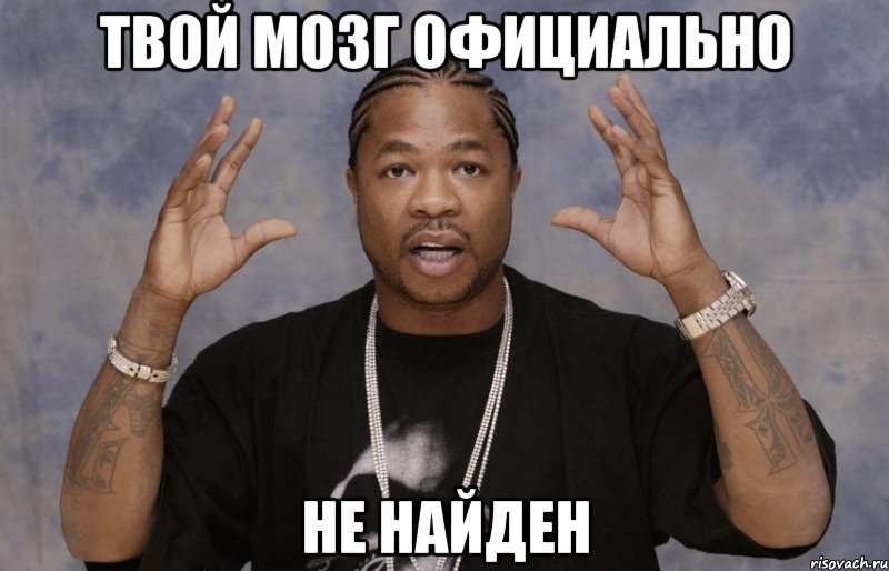 Твой мозг официально не найден, Мем Xzibit