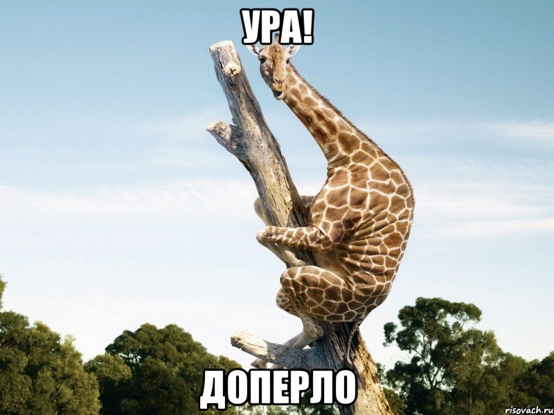 Ура! Доперло