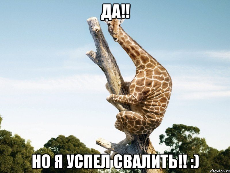 Да!! Но я успел свалить!! :)