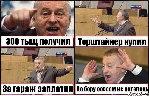 300 тыщ получил Торштайнер купил За гараж заплатил На бору совсем не осталось, Комикс жиреновский