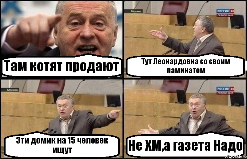 Там котят продают Тут Леонардовна со своим ламинатом Эти домик на 15 человек ищут Не ХМ,а газета Надо, Комикс Жириновский