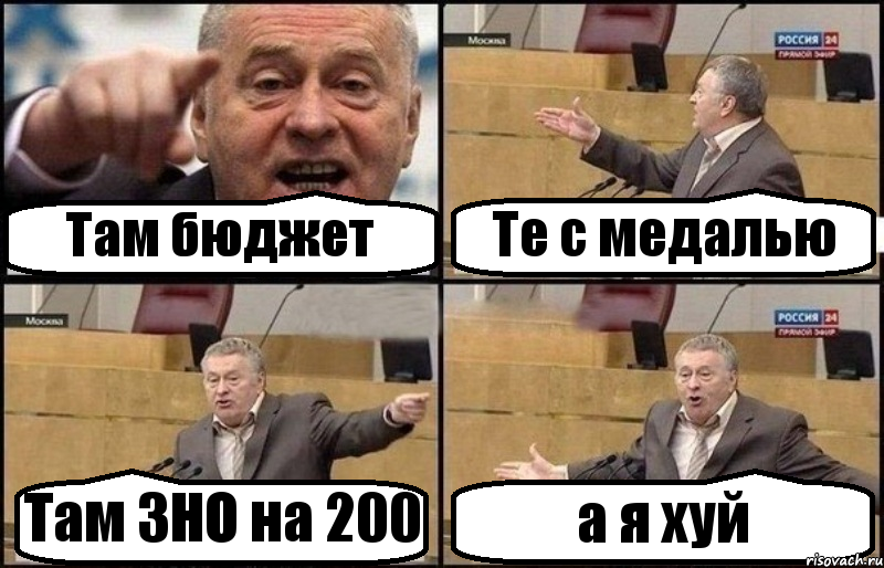 Там бюджет Те с медалью Там ЗНО на 200 а я хуй, Комикс Жириновский