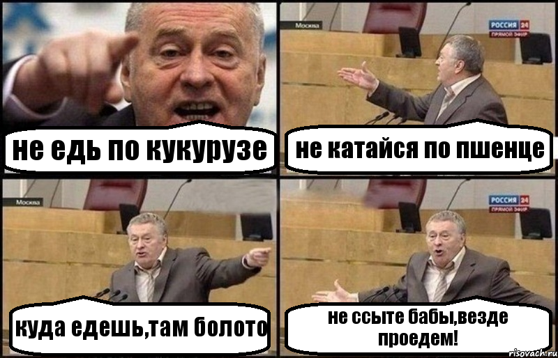 не едь по кукурузе не катайся по пшенце куда едешь,там болото не ссыте бабы,везде проедем!, Комикс Жириновский