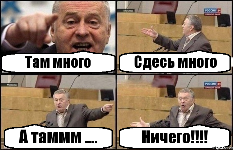 Там много Сдесь много А таммм .... Ничего!!!!, Комикс Жириновский