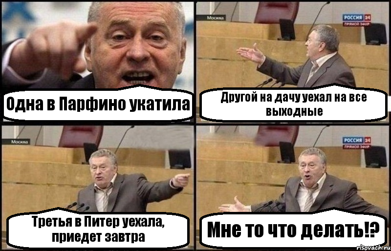 Одна в Парфино укатила Другой на дачу уехал на все выходные Третья в Питер уехала, приедет завтра Мне то что делать!?, Комикс Жириновский