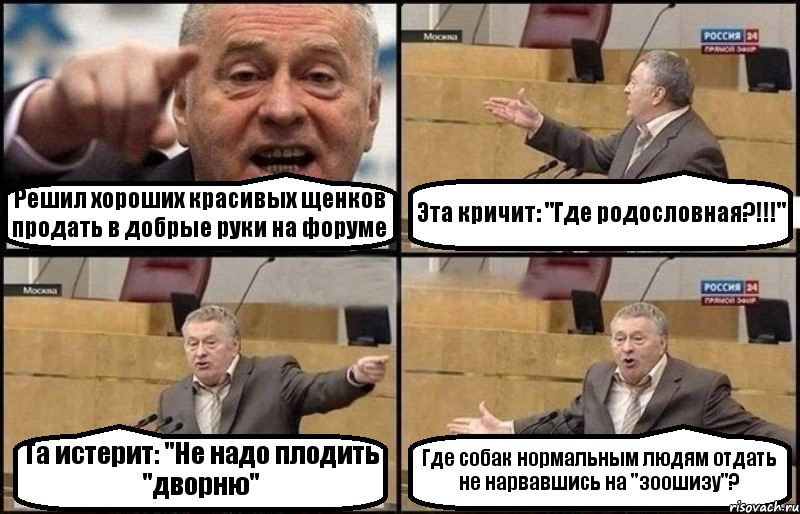 Решил хороших красивых щенков продать в добрые руки на форуме Эта кричит: "Где родословная?!!!" Та истерит: "Не надо плодить "дворню" Где собак нормальным людям отдать не нарвавшись на "зоошизу"?, Комикс Жириновский