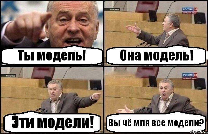 Ты модель! Она модель! Эти модели! Вы чё мля все модели?, Комикс Жириновский