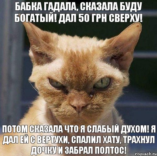 бабка гадала, сказала буду богатый! дал 50 грн сверху! потом сказала что я слабый духом! я дал ей с вертухи, спалил хату, трахнул дочку и забрал полтос!, Комикс  злой кот