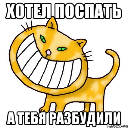 Не буди мемы 2025