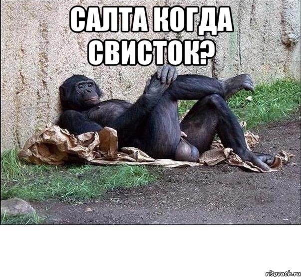 Салта когда свисток? 