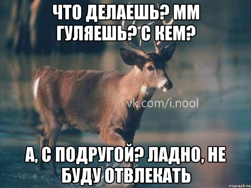 Не буду тебе мешать картинки