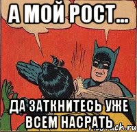 А мой рост... Да заткнитесь уже всем насрать, Комикс   Бетмен и Робин