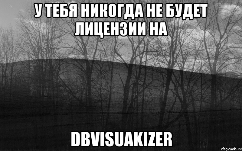 у тебя никогда не будет лицензии на DbVisuakizer, Мем безысходность тлен боль