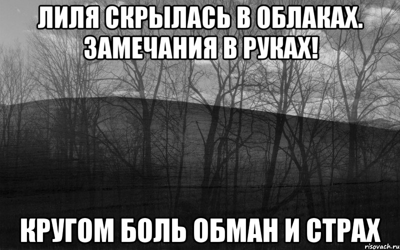 Лиля скрылась в облаках. Замечания в руках! Кругом боль обман и страх, Мем безысходность тлен боль