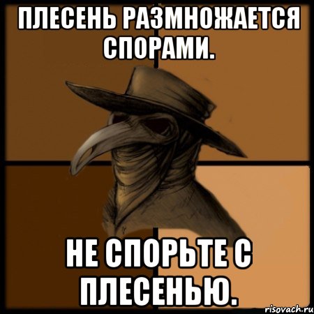 Плесень размножается спорами. Не спорьте с плесенью.