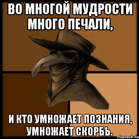 Во многой мудрости много печали, и кто умножает познания, умножает скорбь.