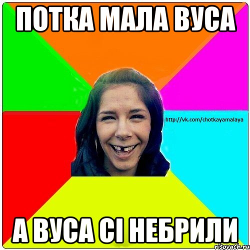 потка мала вуса а вуса сі небрили, Мем Чотка мала