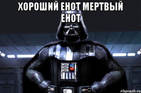 Хороший Енот мертвый Енот 