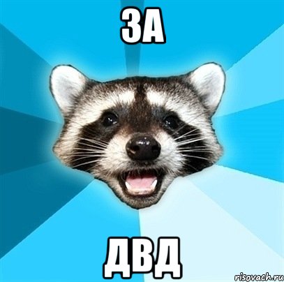 за двд