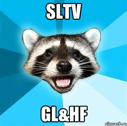SLTV GL&HF, Мем Енот-Каламбурист