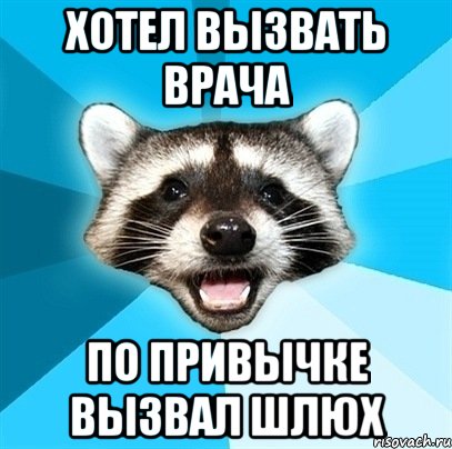 Хотел вызвать врача По привычке вызвал шлюх, Мем Енот-Каламбурист