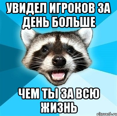 Увидел игроков за день больше чем ты за всю жизнь, Мем Енот-Каламбурист