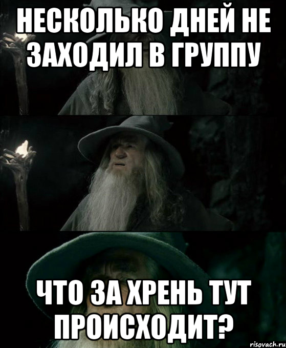 Что здесь происходит мем. Гэндальф заблудился. Что тут происходит. Гэндальф потерялся. Гэндальф заблудился Мем.