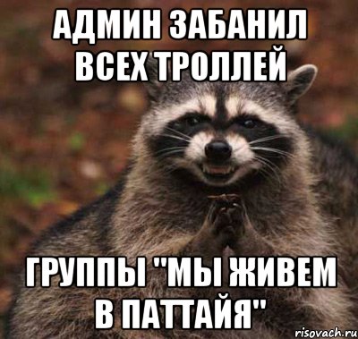 админ забанил всех троллей группы "мы живем в паттайя", Мем  Хитрый енот