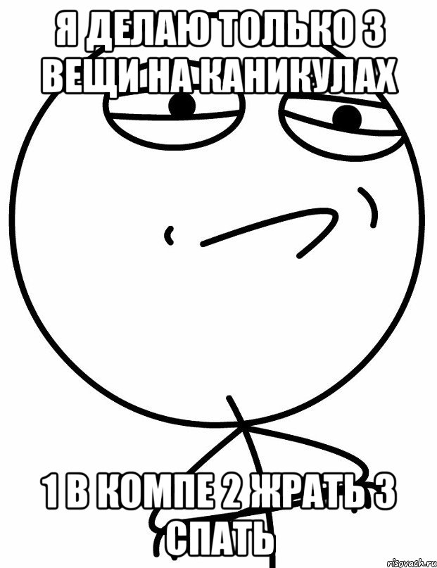 Я делаю только 3 вещи на каникулах 1 В компе 2 Жрать 3 Спать, Мем вызов принят