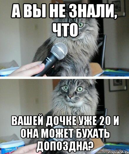 А вы не знали, что Вашей дочке уже 20 и она может бухать допоздна?, Комикс  кот с микрофоном