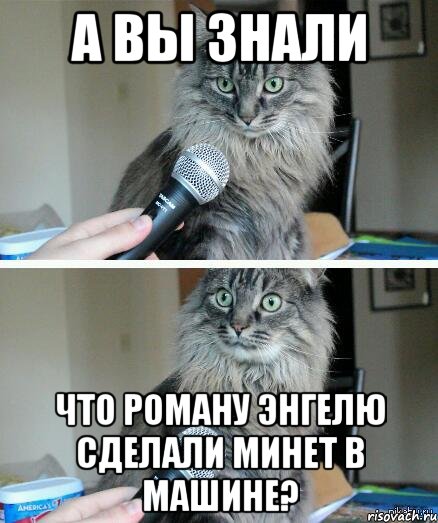 а вы знали что роману энгелю сделали минет в машине?, Комикс  кот с микрофоном