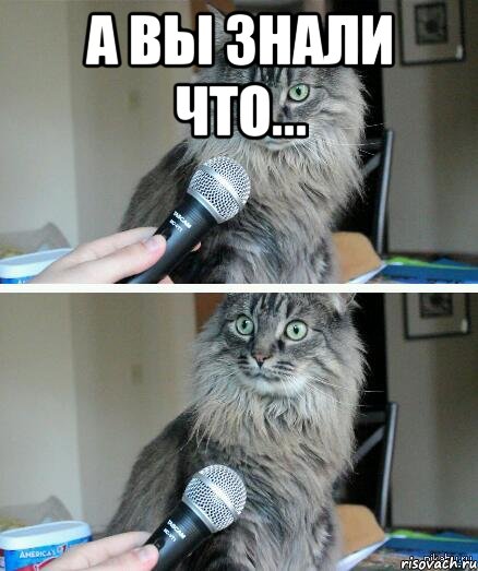 А вы знали что... , Комикс  кот с микрофоном