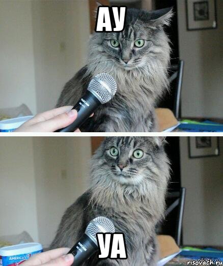 ау уа, Комикс  кот с микрофоном
