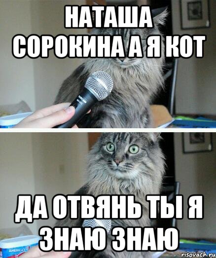 Наташа сорокина а я кот Да отвянь ты я знаю знаю, Комикс  кот с микрофоном