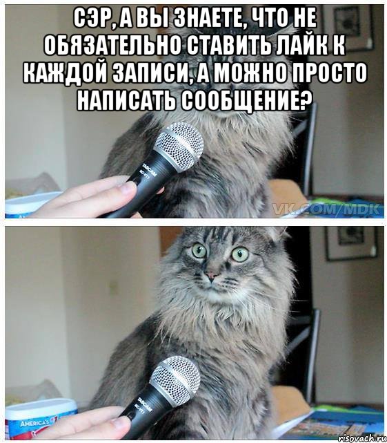 Сэр, а вы знаете, что не обязательно ставить лайк к каждой записи, а можно просто написать сообщение? , Комикс  кот с микрофоном