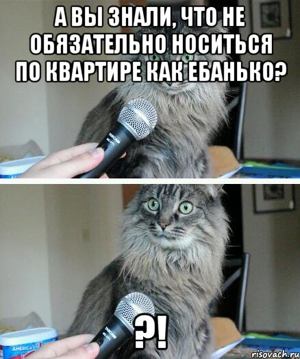 А вы знали, что не обязательно носиться по квартире как ебанько? ?!, Комикс  кот с микрофоном