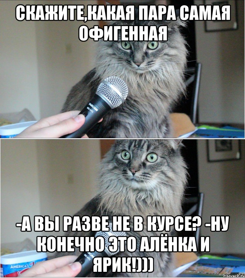 Скажите,какая пара самая офигенная -А вы разве не в курсе? -Ну конечно это Алёнка и Ярик!))), Комикс  кот с микрофоном