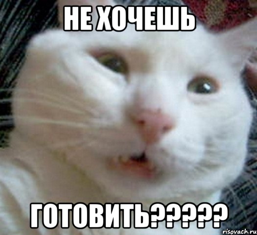 не хочешь готовить?????