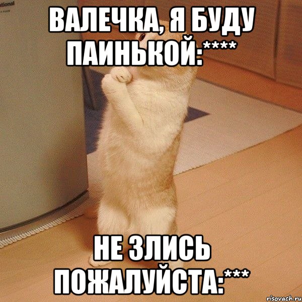 Валечка, я буду паинькой:**** Не злись пожалуйста:***, Мем  котэ молится