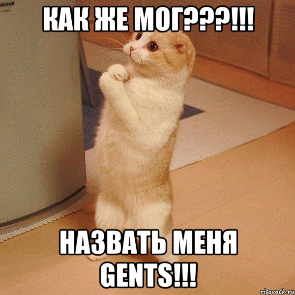 Как же мог???!!! назвать меня GENTS!!!, Мем  котэ молится