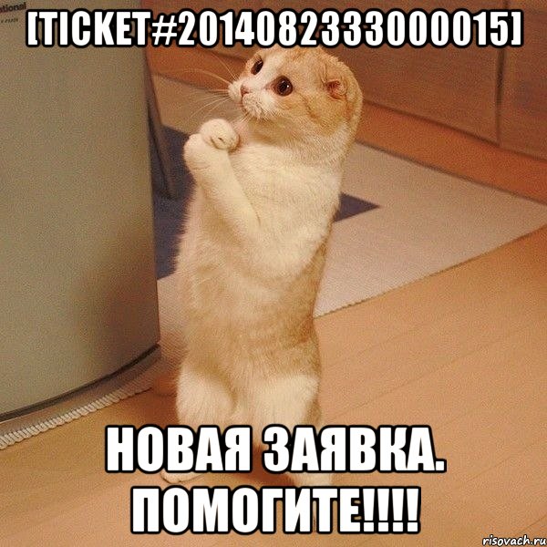 [Ticket#2014082333000015] Новая заявка. помогите!!!!, Мем  котэ молится