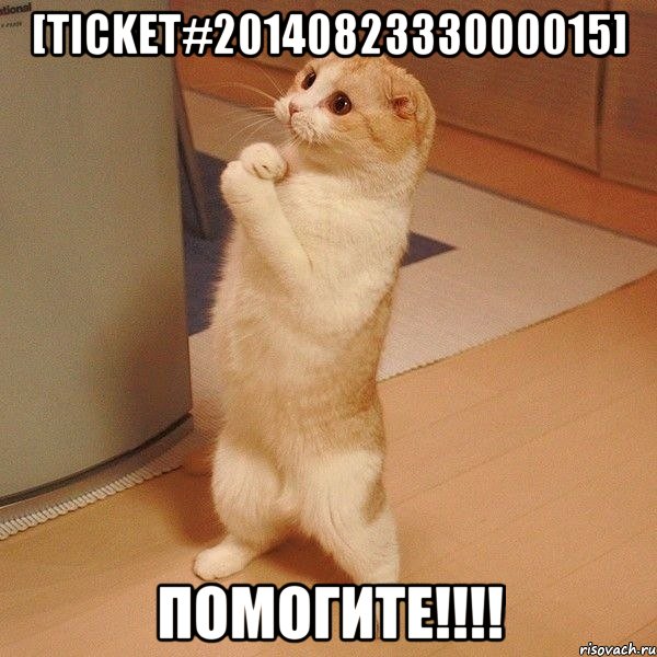 [Ticket#2014082333000015] помогите!!!!, Мем  котэ молится