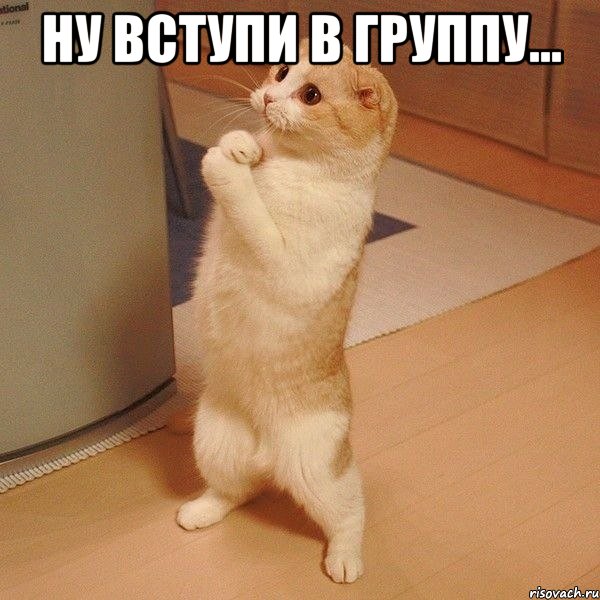 Ну вступи в группу... , Мем  котэ молится