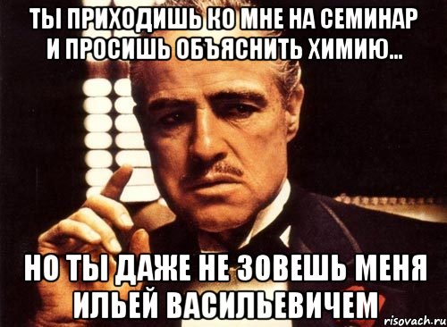 ТЫ ПРИХОДИШЬ КО МНЕ НА СЕМИНАР И ПРОСИШЬ ОБЪЯСНИТЬ ХИМИЮ... НО ТЫ ДАЖЕ НЕ ЗОВЕШЬ МЕНЯ ИЛЬЕЙ ВАСИЛЬЕВИЧЕМ, Мем крестный отец